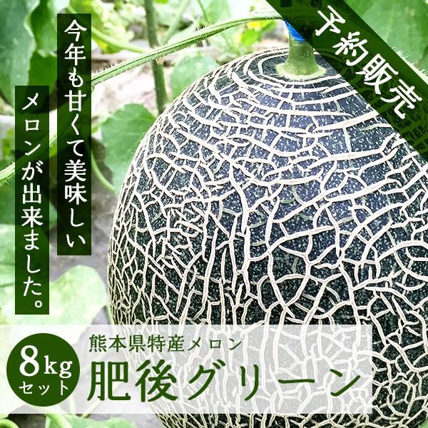 熊本県産メロン 肥後グリーン 8kgセット 5玉入 予約販売 送料無料 ギフト プレゼント 贈答品 父の日 お中元 お買得品 Higogreen02 やお九州 通販 Yahoo ショッピング