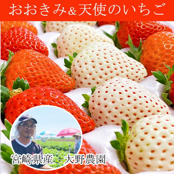 出荷開始】幸せの紅白いちごセット【おおきみ&天使のいちご】宮崎県