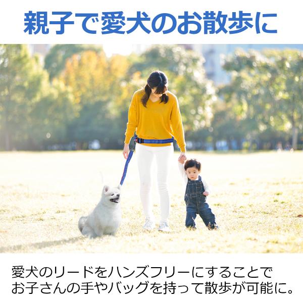 yaostore_petrd1_4_d_20240219131634