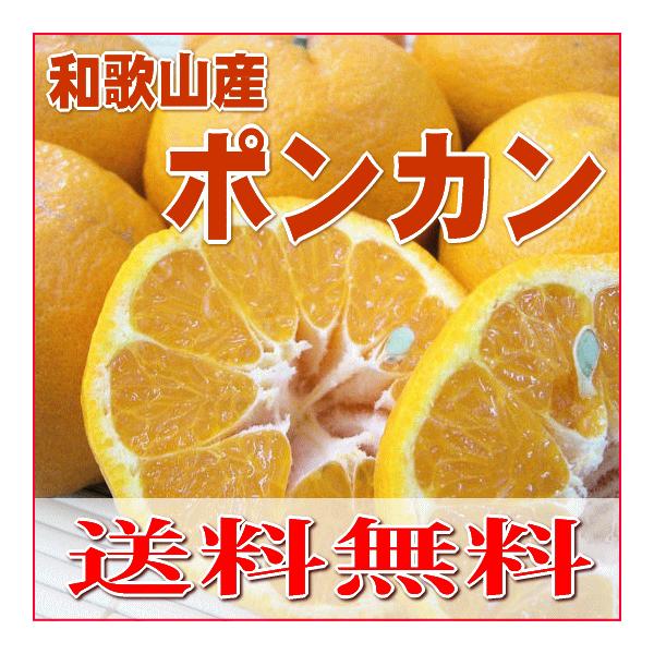 和歌山産 高糖度ポンカン Ｍ/Lサイズ 7kg
