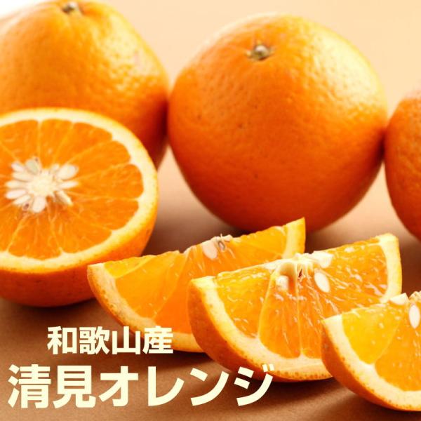 清見オレンジ 贈答用 5kg 送料無料 和歌山産