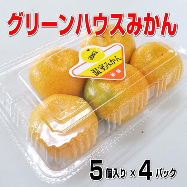 グリーンハウスみかん 5玉入り×4パック 和歌山産 送料無料