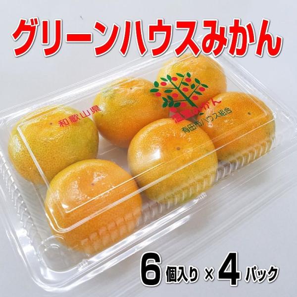 グリーンハウスみかん 6玉入り×4パック 和歌山産 送料無料
