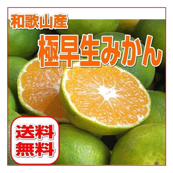 極早生みかん（青切りみかん）SS（2S）サイズ 5kg 和歌山産