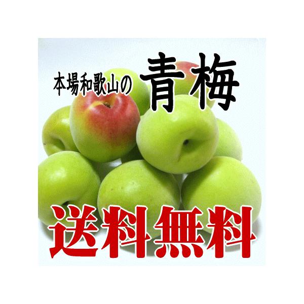 青梅（南高梅）Lサイズ 10kg 和歌山産 梅酒用・梅シロップ用 送料無料・クール代無料