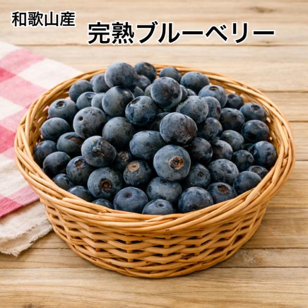 国産完熟生ブルーベリー500g 和歌山産