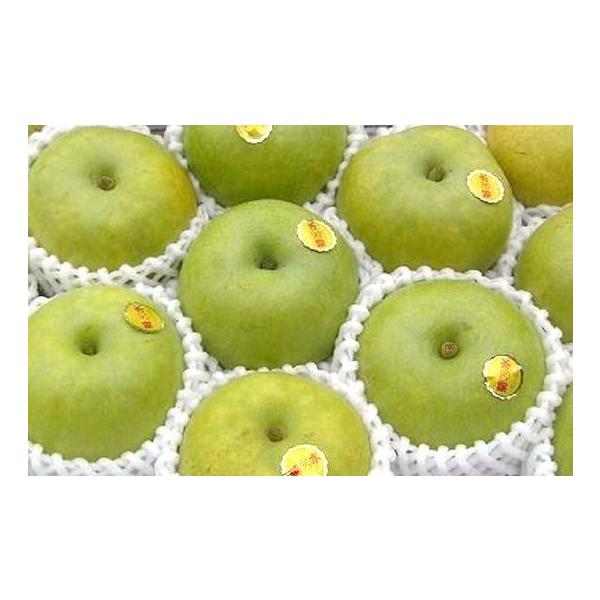 和歌山の珍しい梨です！菊水梨　 8〜9玉入り（約2.3〜2.5kg)