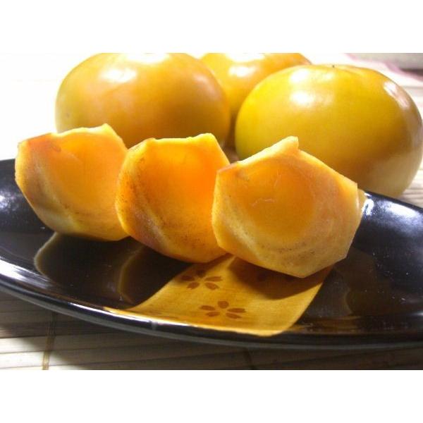 󂠂/a̎RY@`̉l@xL` 2.3kgyz