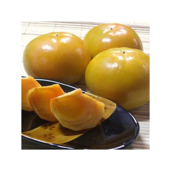 `̉l xL` 2LTCY 8`9 yza̎RY