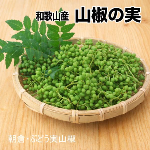 山椒の実（生）200g 和歌山産 実山椒 ぶどう山椒/朝倉山椒 【クール便