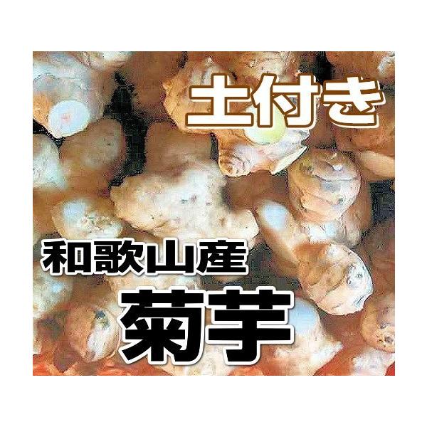 菊芋の主成分は『イヌリン』と呼ばれる水溶性の食物繊維が豊富。 「天然のインシュリン」といわれており、血糖値を下げる効果があります。 また、ダイエット・美肌効果やコレステロール・中性脂肪の低下が期待できます。土付き、洗った芋どちらかになります...