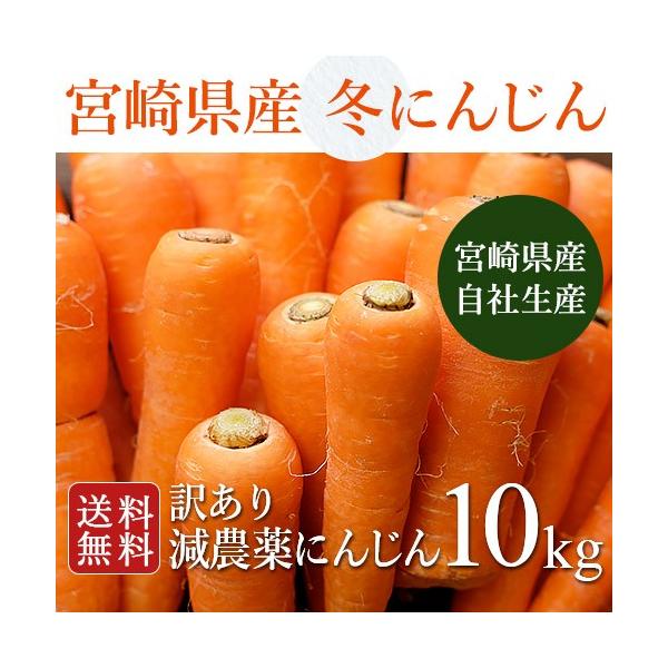 こだわりの自社生産！産地直送だから鮮度抜群業務用、プロ用にも最適なたっぷり大容量10kg！ジュースにしても甘くて美味しく、どんな料理にも使いやすい万能食材♪■送料について本商品は、送料無料です。但し、沖縄および離島へのお届けは別途600円か...