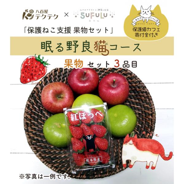 美味しい果物とかわいいイラストでねこ支援 ギガランキングｊｐ