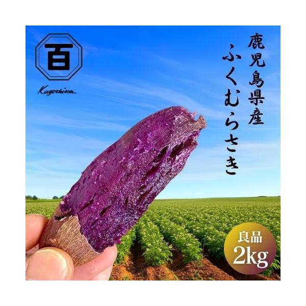 【焼き芋屋がお届けする本場のさつま芋】さつま芋の本場鹿児島より直送！大事に育てた、鹿児島県産「ふくむらさき」全て手作業で畑の土作りから箱詰めまで行います。−−−−−−−−−−−−−−−−−−−【注意】−−−−−−−−−−−−−−−−−−−※...