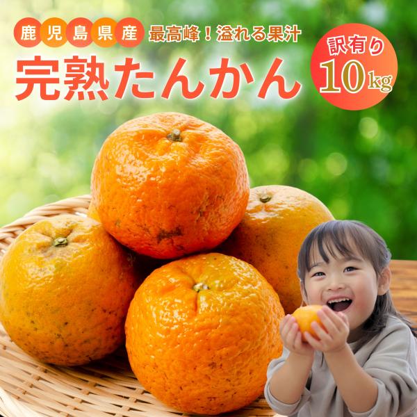 ぎずも☆たんかん10キロ❢ yaoyorozu-store_hyuuganatu10