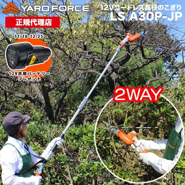 さののの太 　リップルエフェクト 2株セット ご予約受付中】Horita205 特製オードブル 販売のお知らせ【12/9更新