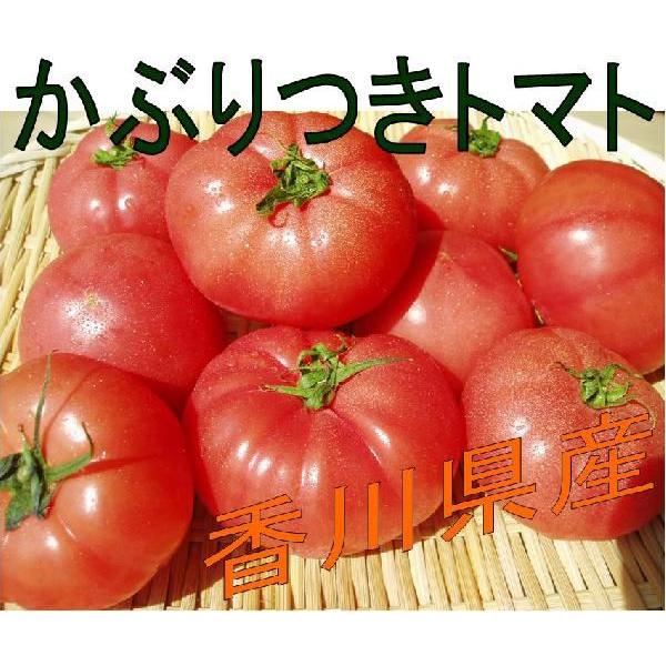 香川県産　化学肥料を使用していないおいしいトマト。香川県高松市からお届けする、安全・安心で大変美味しい野菜です。