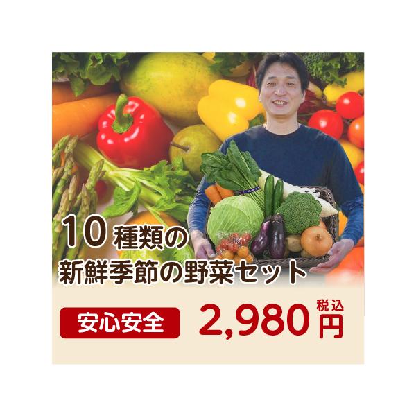 市場から直送、とにかく新鮮なお野菜１０品セットです！２人暮らしの方におすすめ！注文いただいてから３日以内に発送いたします。時期によって、写真の内容と入れ替わります。10種類以上の野菜の詰め合わせです。中身につきましては、旬の野菜を厳選しお届...