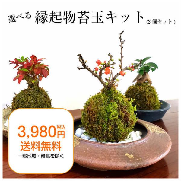 yasakagoke_eraberu-kit_13