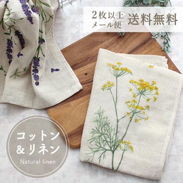 tFCX^I K[[ {     Rbg l dK[[ _uK[[   ԕ {^jJ Lb` 䏊 |Cg