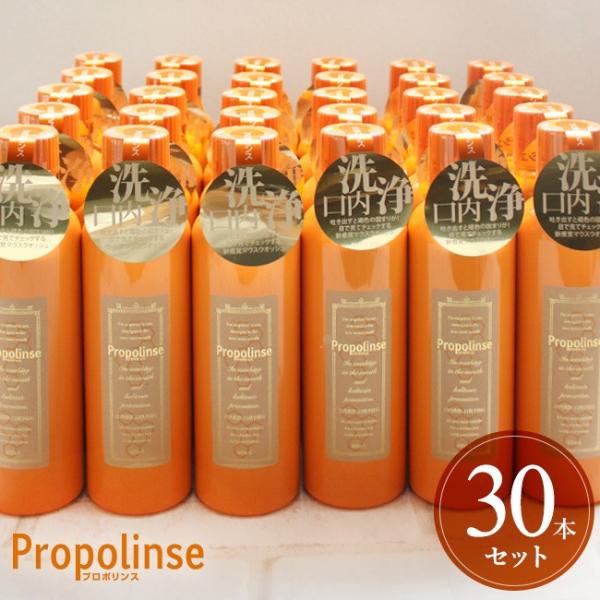 v|X }EXEHbV 600ml 30{ t L\h L΍  LPA [J[