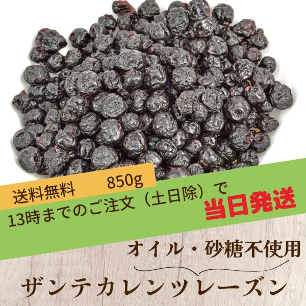 無添加 ノンオイル お試し干し葡萄 850g 干しぶどう ザンテ・カレンツレーズン 製菓 パン材料 砂糖不使用