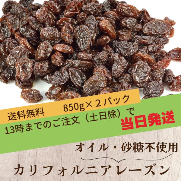 無添加 ノンオイル お試し干し葡萄 1.7Kg （850g×２パック） 干しぶどう カリフォルニア　レーズン 製菓 パン材料 砂糖不使用