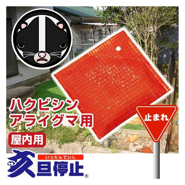 亥旦停止 ハクビシン アライグマ用 屋内用50枚 ( いったんていし
