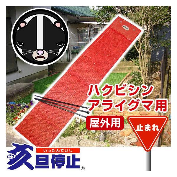 U~ nNrV ACO}p Op10@( Ă  nNrV ΍ ACO} ΍ Q nNrV )