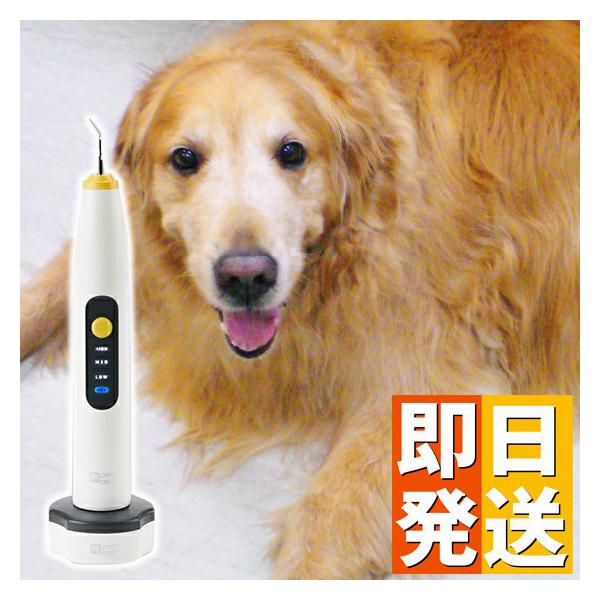 犬用ペットグッズ スケーラーの人気商品 通販 価格比較 価格 Com