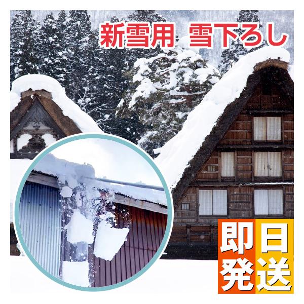 雪スライダー シート2枚付き 雪 滑る 除雪 器具 除雪作業 屋根 雪スライダー シート2枚付き 雪 滑る 除雪 器具 除雪作業 屋根
