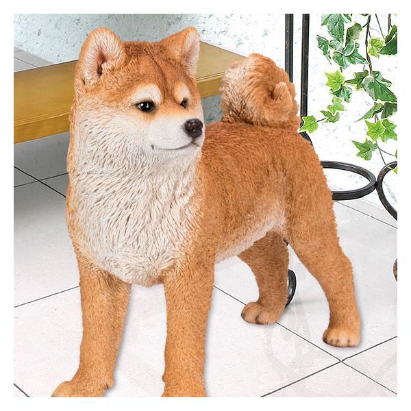 左向き 秋田犬 （大） 49.5 x 22.5 45.3 cm (幅x奥x高) 本物そっくり
