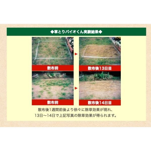 除草剤 安全 草とりバイオくん 2本組 除草液 ペット 子供 雑草 芝 芝生 芝生用 強力 除草 雑草対策 草取り 土 汚さない 液体 無害 送料無料 Buyee Buyee Japanese Proxy Service Buy From Japan Bot Online