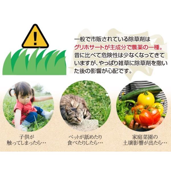 除草剤 安全 草とりバイオくん 2本組 スプレーボトル付き 除草液 ペット 子供 雑草 芝 芝生 芝生用 除草 雑草対策 草取り 土 汚さない 液体 無害 即日発送 Buyee Buyee Japanese Proxy Service Buy From Japan Bot Online