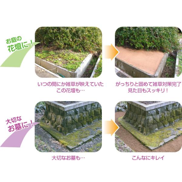 固まる土 魔法の土 カチカチ君 1袋 雑草対策 固まる砂 駐車場 庭 防草砂 除草 雑草防止 防草シート アスファルト水 固まる 土 Buyee 日本代购平台 产品购物网站大全 Buyee一站式代购 Bot Online