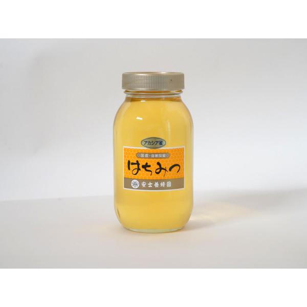 yashi_005