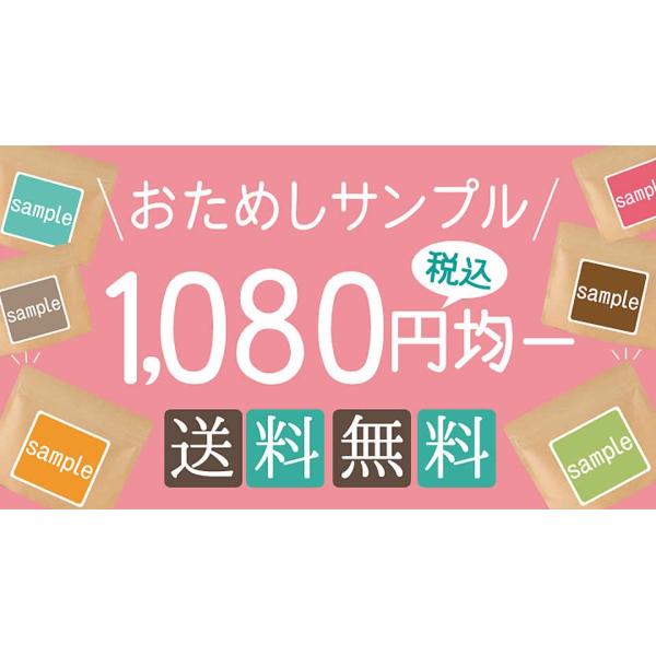 ���� �V�����Y 100%�p�E�_�[ 30g �܂����� �}�C�^�P�@�T���v���@�|�C���g�����@�|�C���g���p ���i�摜1