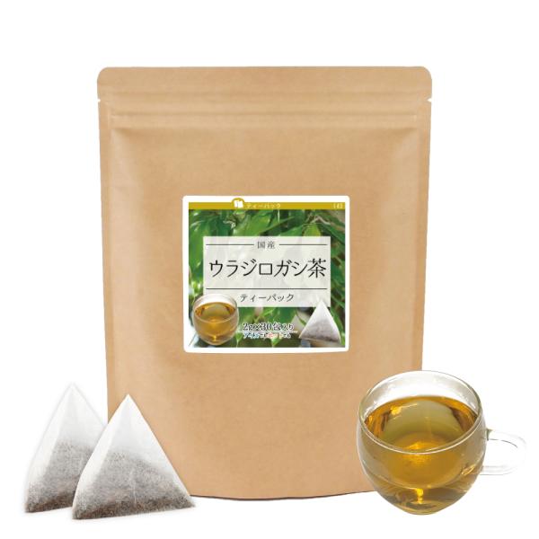 ウラジロガシ茶,うらじろがし茶,お茶,健康茶,裏白樫,ティーパック,国産,ノンカフェイン,残留農薬検査済,ウラジロガシ雄大な土地で育った国産100％のウラジロガシの葉を原料としています。風味豊かですっきりとした味わいをお楽しみください。
