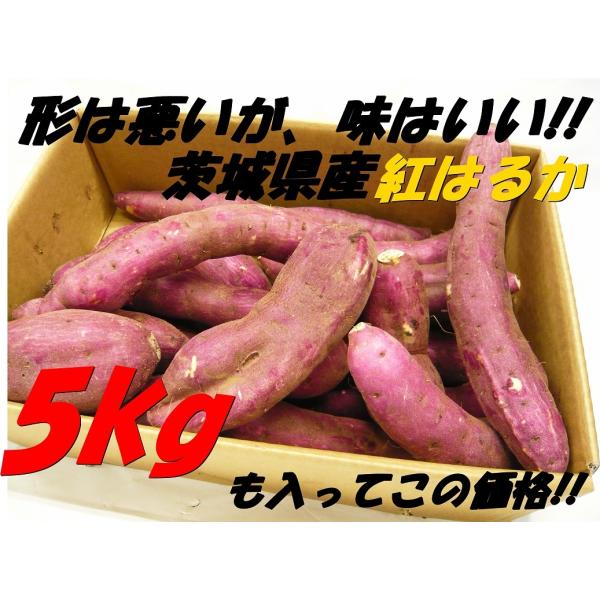 さつまいも (紅はるか)　5kg箱　訳アリ 海風を浴びたあま〜いおいも　茨城県産
