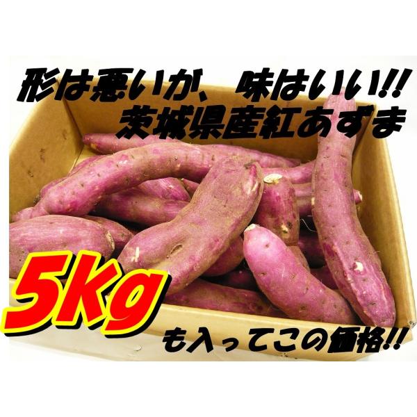 さつまいも(紅あずま)　5kg箱　訳アリ 海風を浴びたあま〜いおいも 茨城県産