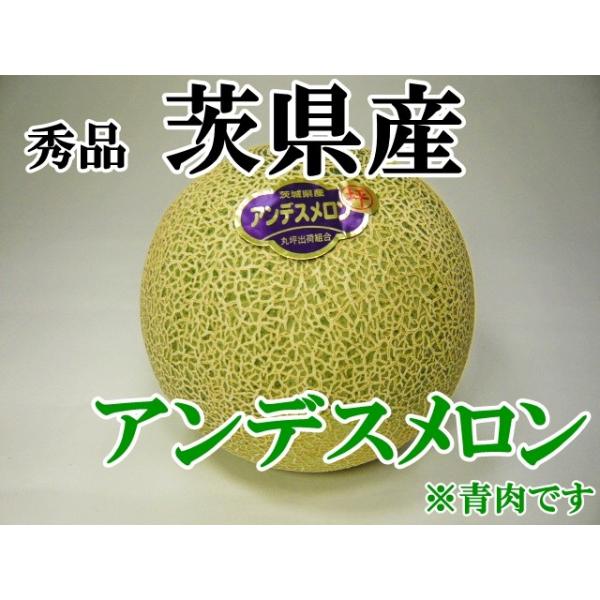 茨城県産　アンデスメロン【青肉】L　6玉×2箱　計12玉セット yasu-bussan_yasu-023