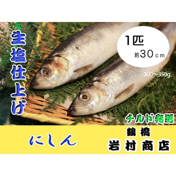 【 鶴橋 韓国鮮魚 生】 法事用 にしん 1匹 約30ｃｍ 300〜350g相当 生塩仕上げ チルド個別発送 ツボ抜き