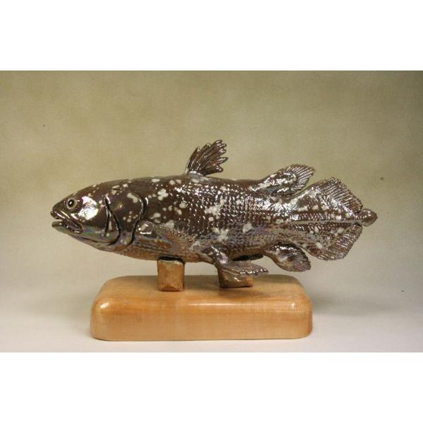 シマハタフィギュア魚寸25cm