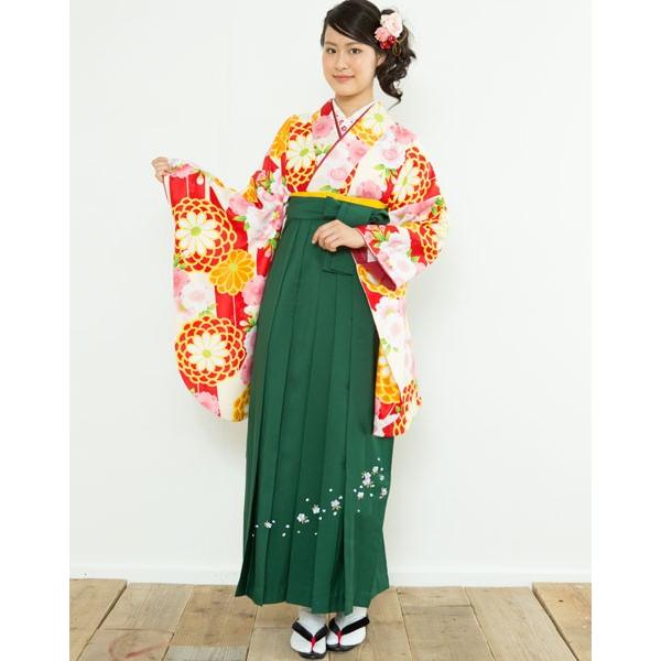 二尺袖着物袴フルセット 矢羽 花柄 卒業式にどうぞ 袴変更可能 新品 
