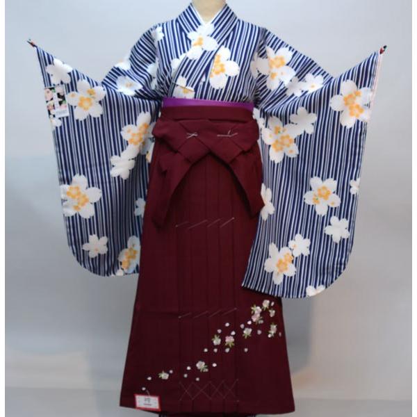 二尺袖 着物袴 フルセット 京のちたる 袴変更可能 新品（株）安田屋 