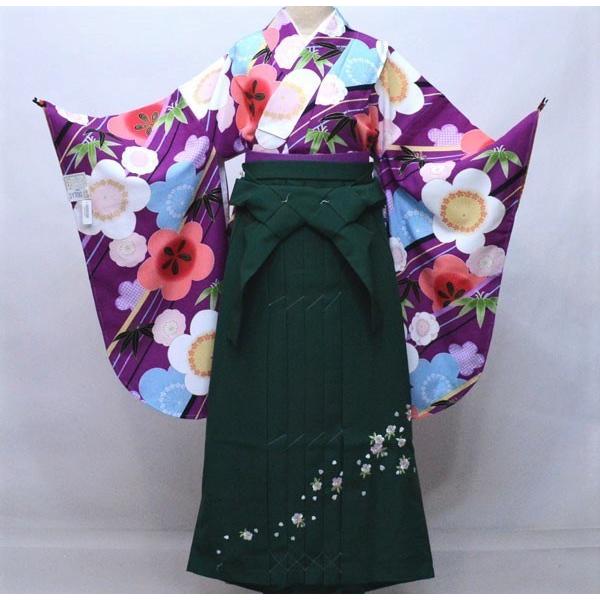 二尺袖 着物 袴フルセット 百花繚乱 ちりめん地 裄丈66cm 着物生地は 