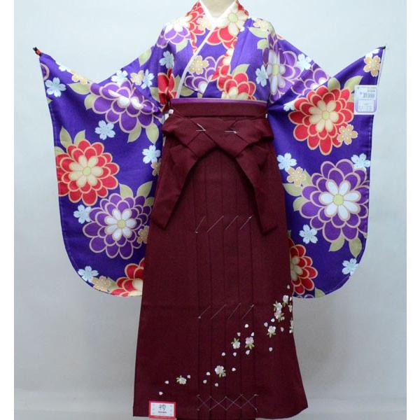 二尺袖 着物 佳かっ 袴 フルセット 陽気な天使 着物丈はショート