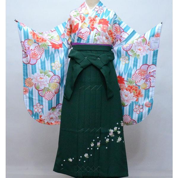 二尺袖 着物 袴フルセット 小紋柄 ショート丈 青色 菊 袴変更可能