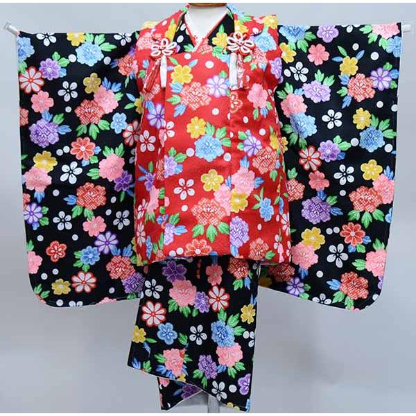 七五三 三歳 女児 被布着物フルセット 百花繚乱 黒色×赤色 半衿付き 3