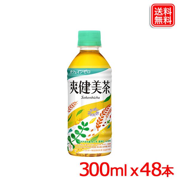 u PET 300ml 48{  y[J[z 